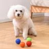 55/65mm Squeaky Dog Toys For Aggressive Chewers, Indestructible Dog Balls For Aggressive Chewers, Squeaky Balls For Dogs 2