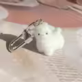 alpaca