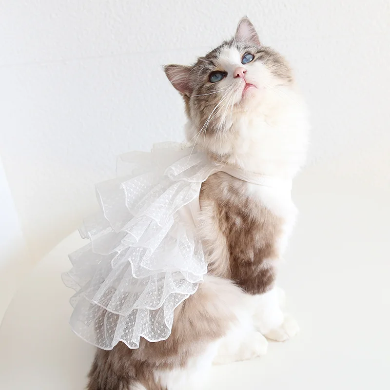 Hanpanda2024SpringSummerCatLaceGypsophilaWeddingDressSweetPet