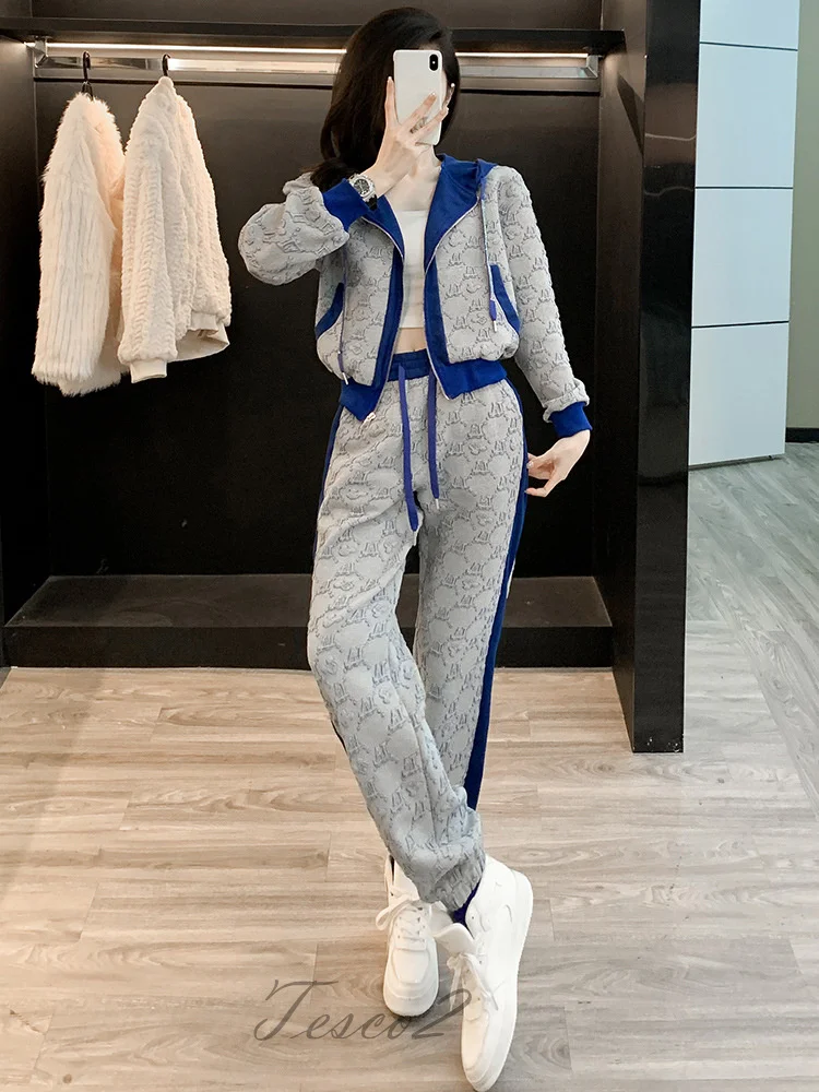 Tesco Autumn Winter New Women's Pant Sets Zip-up Jacket And Trousers Sports Casual Hooded 2 Piece Gray Women's Sports Suit