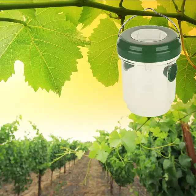 Led Solar Bee Trap Kültéri Wasp Pouted Hance Hornet Csapdák Kék Világa Tanulmányos És Újrafelhasználható Kerthez - Image 5