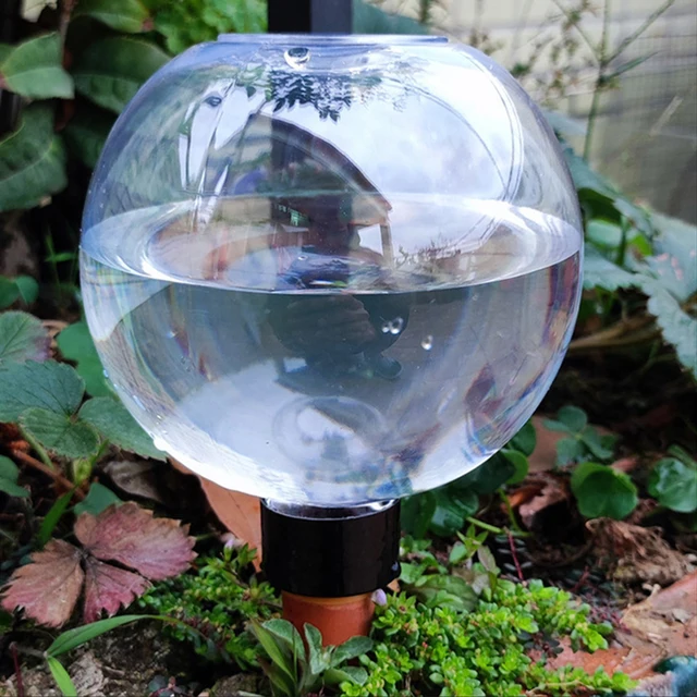2PCS/4PCS Spherical Automatic Watering Lazy Person's Flower Watering Device, Small Succulent Dripper 1