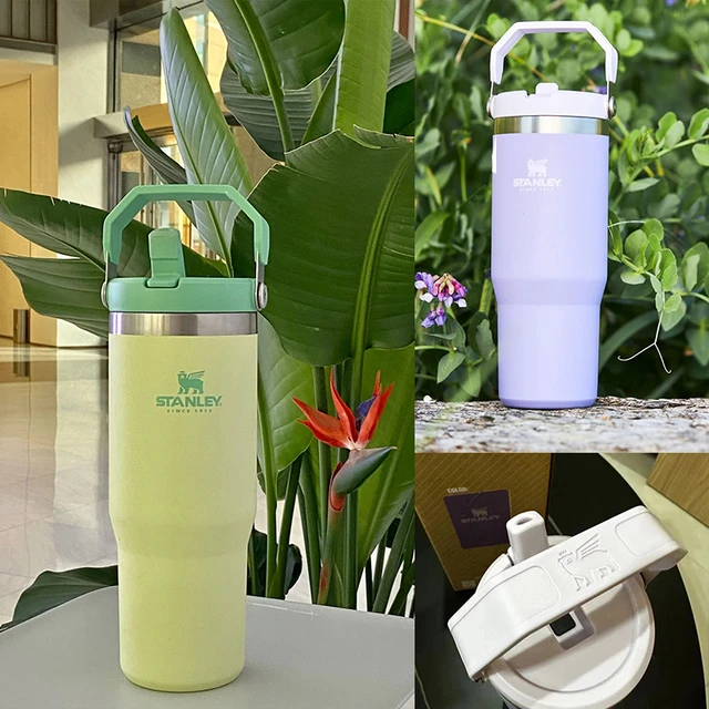 New 30oz Stanley IceFlow Stainless Steel Tumbler with handle Vacuum  Insulated Water Bottle for Home Reusable Cup with Straw - AliExpress