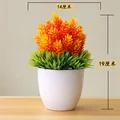 Songzhen orange