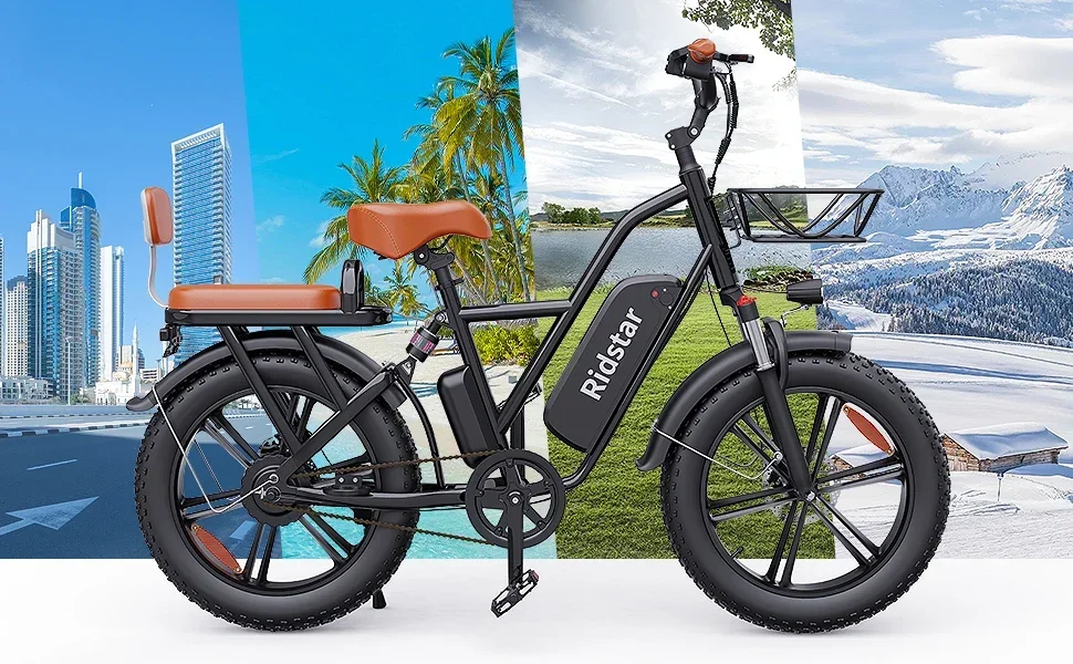 Ridstar FM-001 Electric Bicycle 1000W 48V 15AH Road City Ebike Adult 20 inch Fat Tire Beach Mountain Rear Seat Bicycle Se9f014607e1b45be902d0e15b466cd8cI