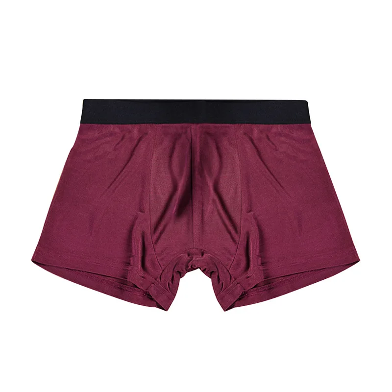 2023 New Real Silk Panties Men Silk Underwear man High Quality Brand Natural Fabric Underpants