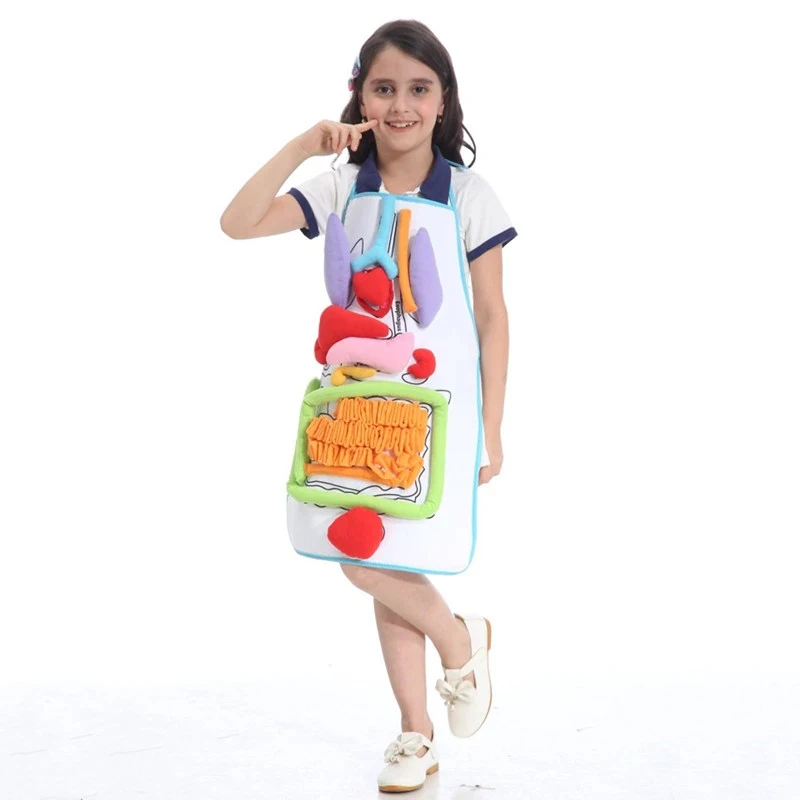 Organ Teaching Apron Anatomy Apron Human Body Educational Home Apron Aids Toys For Children Body Teaching 2