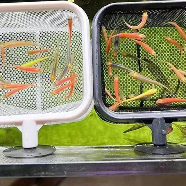Extendable Aquarium Square Net - Stainless Steel Fish & Shrimp Catcher w/Foldable Handle, Tank Clean Tool for Plant/Algae 3