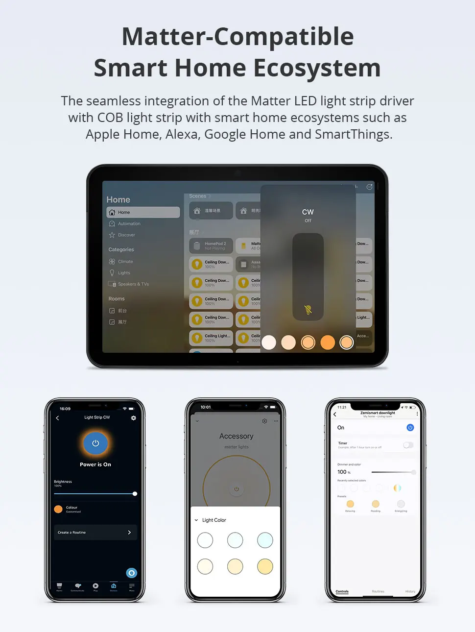 COB Led Strip Light CCT IP65 Matter WiFi Led Driver Alexa Google Home Smartthing