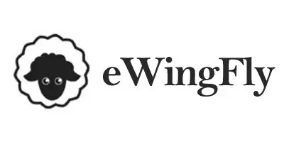 EFlyWing Store