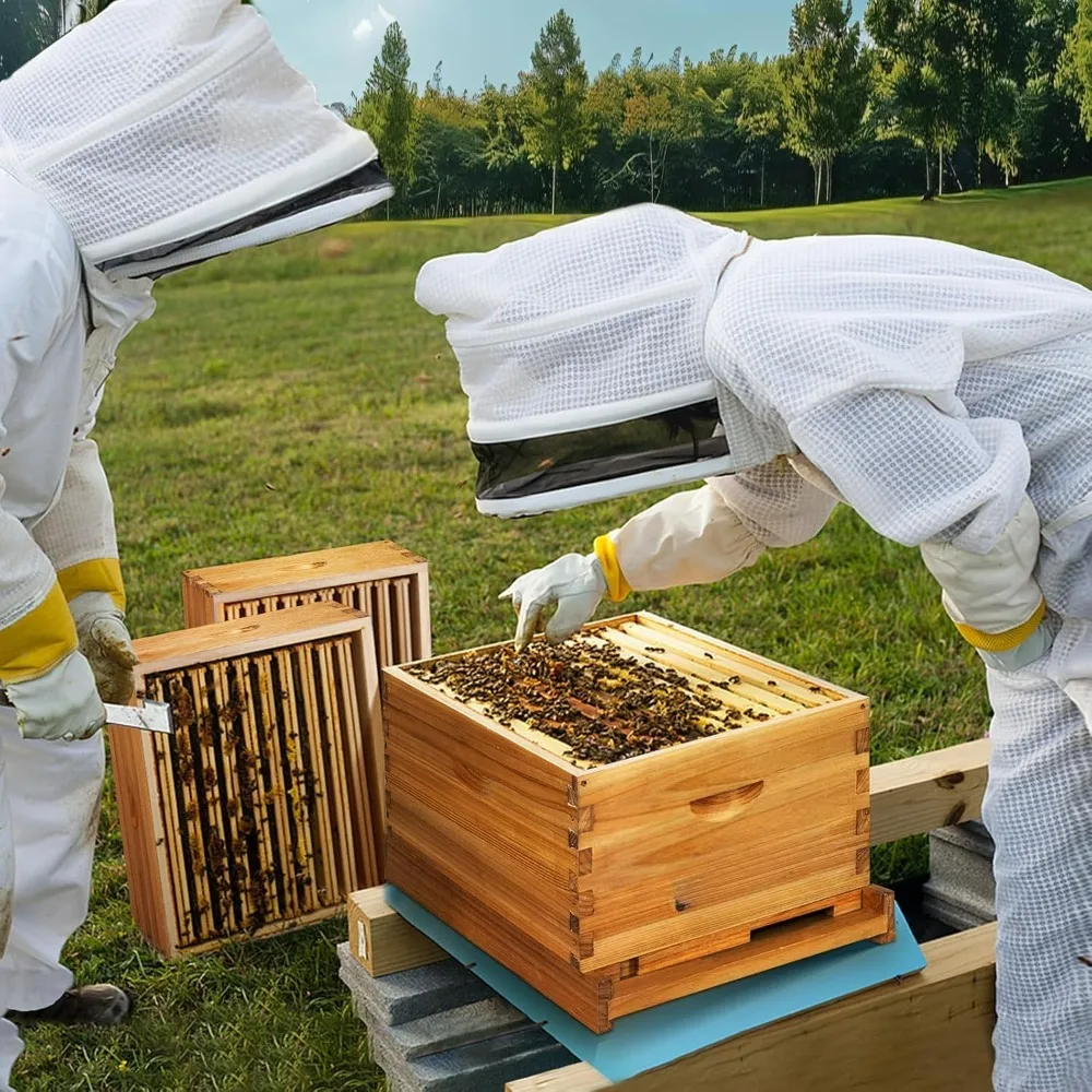 10-Frame Beehive Dipped in Beeswax, Complete Bee Hives and Supplies Starter Kit Includes 2 Deep Hive Bee Box Beehive