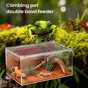 Transparent Spider Enclosure 1