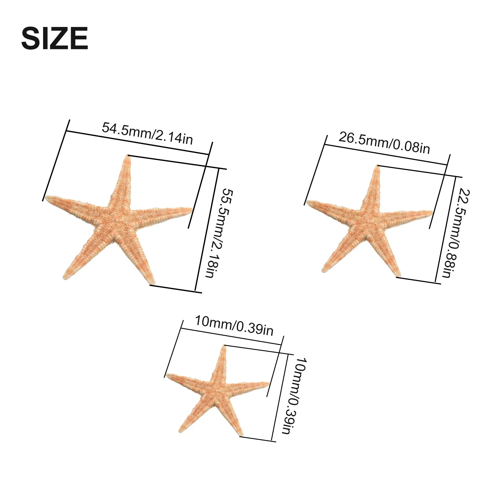 Natural Shell Ornaments Resin Starfish Ornaments 20/50/100pcs Starfish Seashell Practical Mixed Natural Reusable Realistic White Star Fish Tank Decor