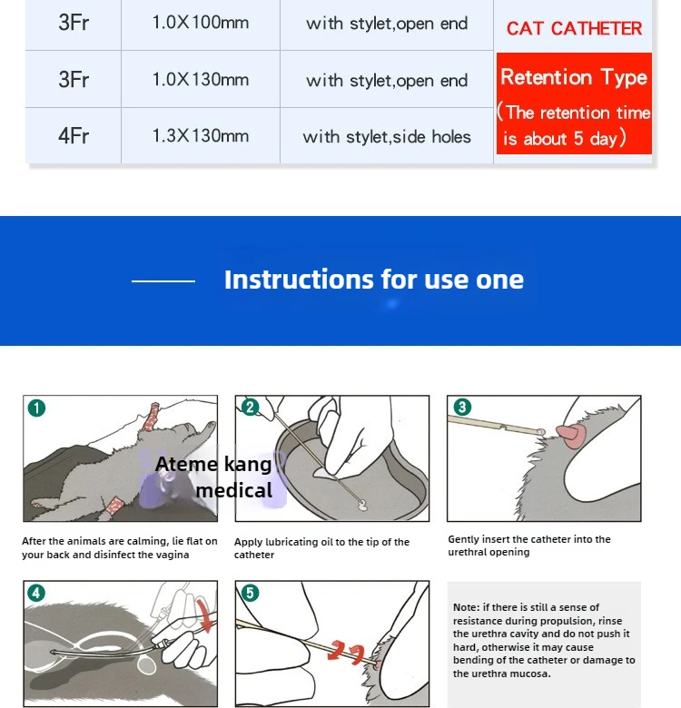 Cat catheter with stylet detail