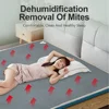 Electric Blanket 220V/110V Home Bedroom Heater Mat Heating Mattress Winter Thermostat Warmer Cushion Pad Constant Temperature 2