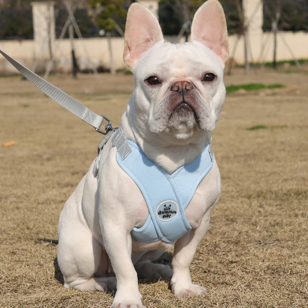 TVMALL Dog Cooling Vest Breathable Mesh Dog Jacket Summer Cool And