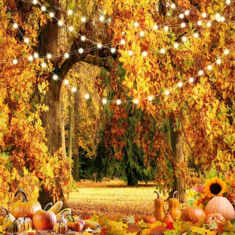 Thanksgiving Harvest Wallpaper