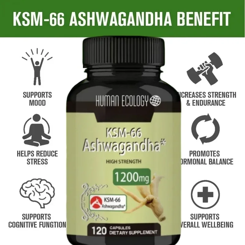 Human Ecology South African Drunken Eggplant Capsules 1200mg Stress Relief Concentration Enhancer 120 Caps