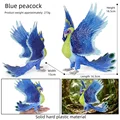 Blue peacock