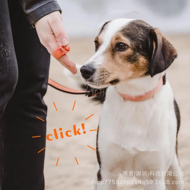 Universal Pet Training Ring 3