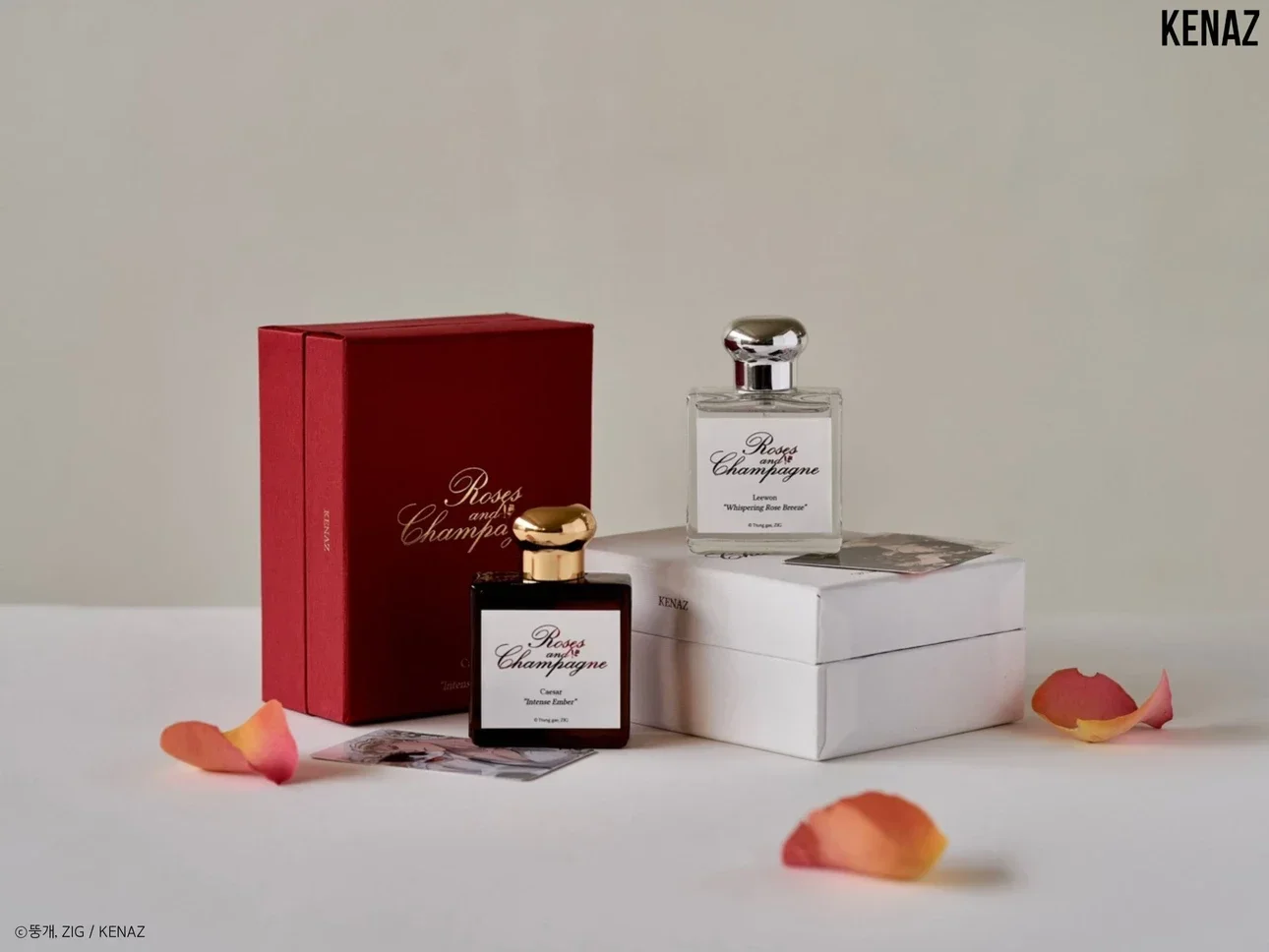 재고 있음 [공식 오리지널] 장미와 샴페인 오리지널 상품(프리퓨메+카드)