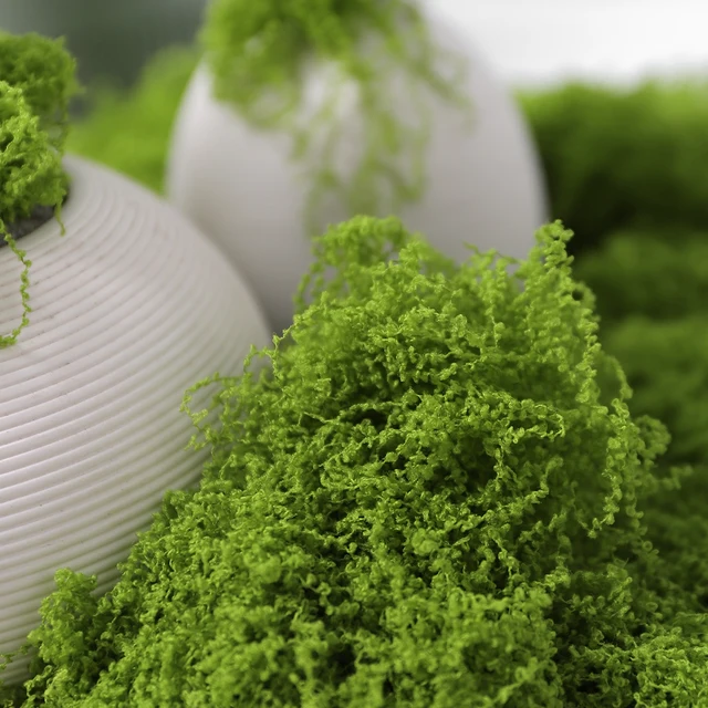 30/50/100g Artificial Green Plants Moss Grass Home Living Room Garden Decoration Mini Landscape Fake Flower DIY Crafts 2