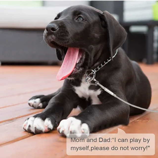 Double-headed Dog Tie Out Cable Leash ,raction rope with metal buckle steel wire anti-rust training collar,Outdoor Dogs Strap 5