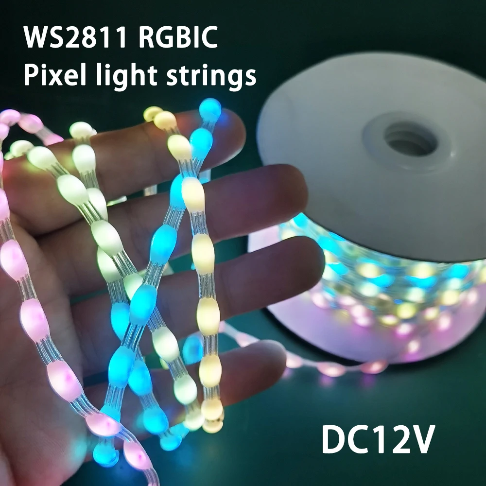 DC12V-pixel-Magic-Light-Strings-WS2811-RGBIC-Dream-Color-Fairy-String ...