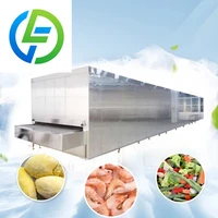 Les fabricants fournissent des congélateurs pour fruits et légumes | Équipement de congélation rapide à basse température pour raviolis et pains | Congélateur tunnel 200 kg 1