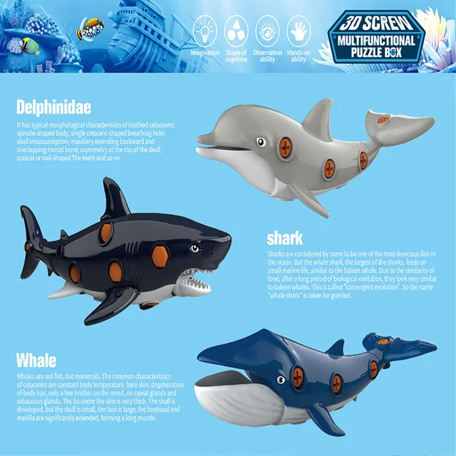 new Assemble Marine Animal Toy for Fine Motor Skills Take Apart Marine Animal Toy Educational Building Set with Electric Drill 3
