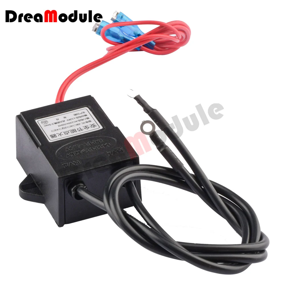 Voltage Generator AC 220V High Voltage Generator Module Continuous Igniter Pulse Generator Inverter 12KV High Voltage Igniter