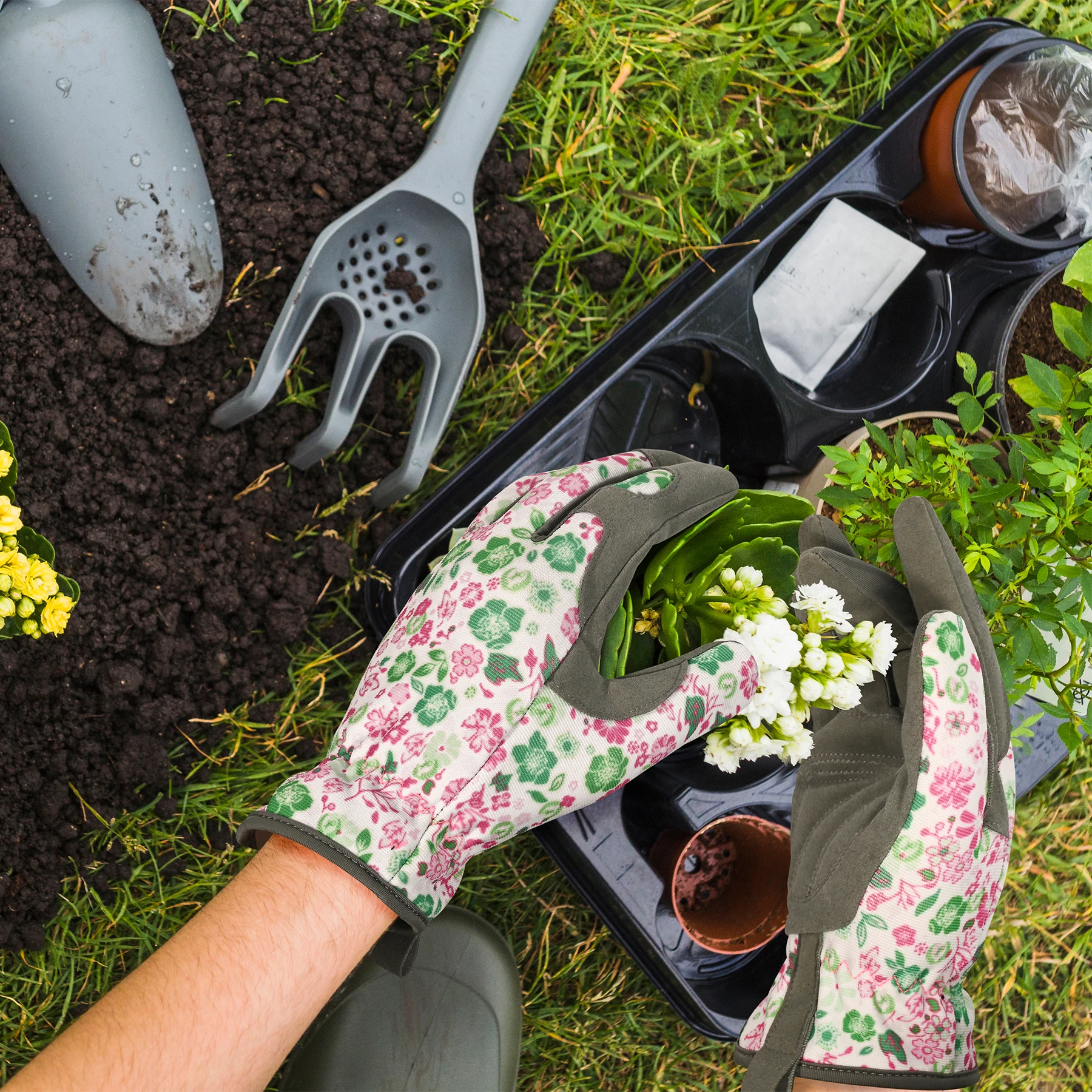 Slide image 019f329d96b045c89f05db8c8854a600