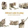 Silvervine Chew Sticks for Cats Chew Toys for Kittens Teeth Cleaning Calm Cat Anxiety Aggressive Chewers Cat Dental Toy ﻿ 5
