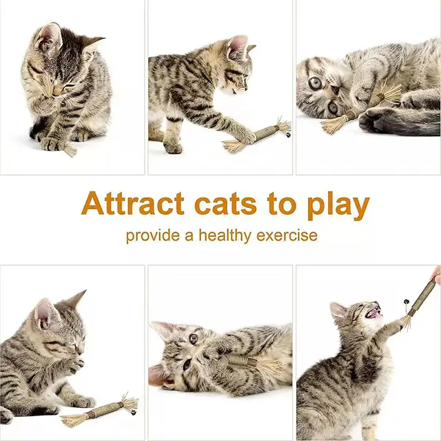 Silvervine Chew Sticks for Cats Chew Toys for Kittens Teeth Cleaning Calm Cat Anxiety Aggressive Chewers Cat Dental Toy ﻿ 5