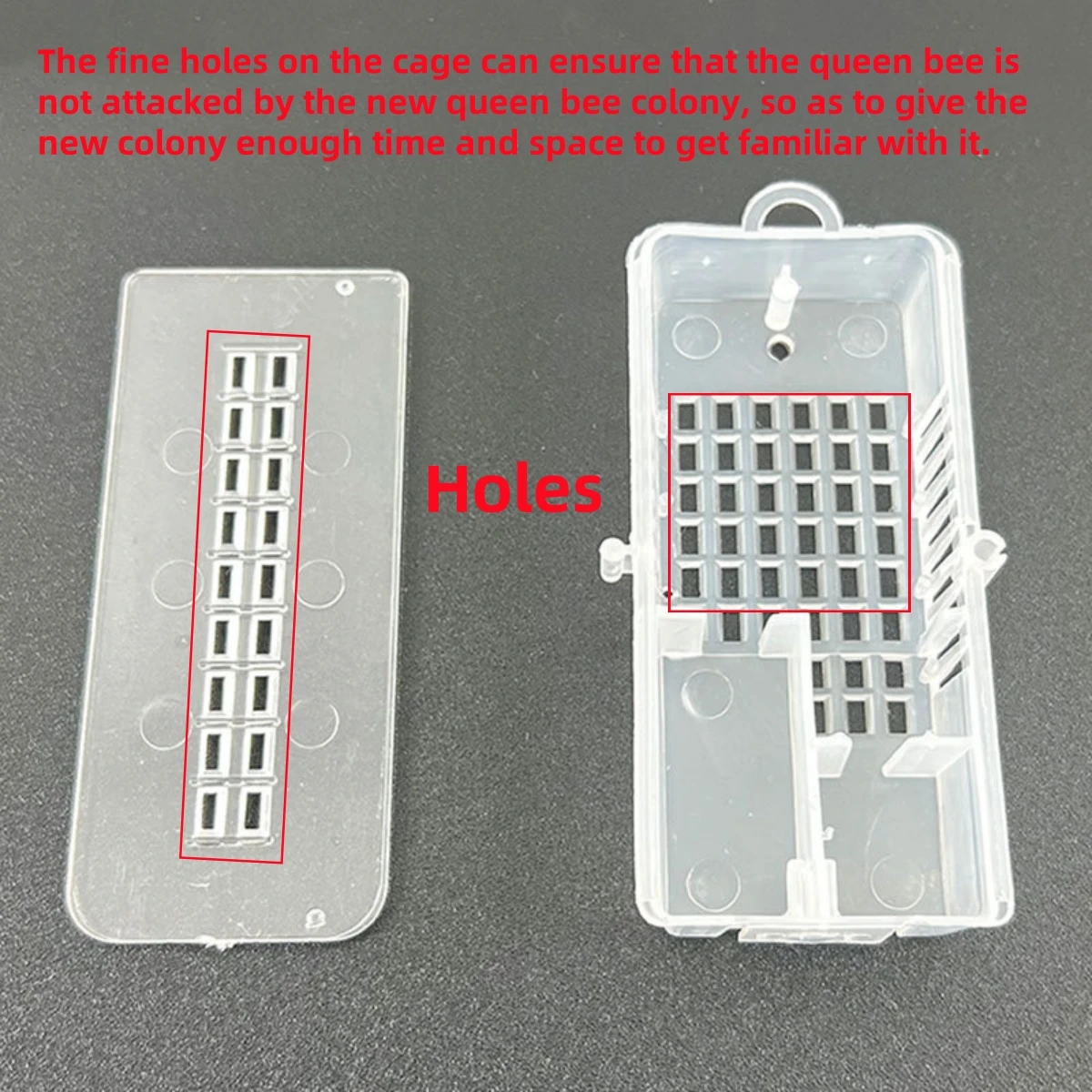 10Pcs Transparent Queen Bee Cage Plastic Large Size Multifunctional Box Queen Bee Escape Prevention Frame Beekeeping Supplies