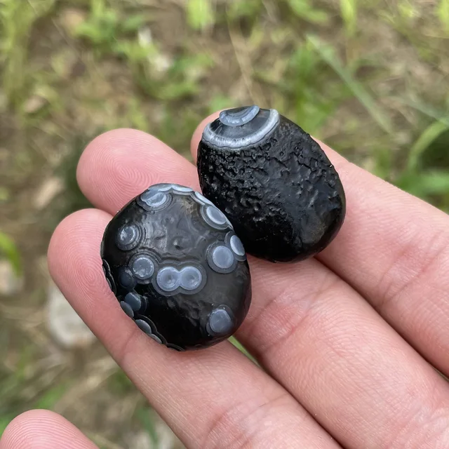 そしじ水晶×ブラックリビアングラス Natural Gobi Black Agate Sardonyx Eye Rock Unpolished