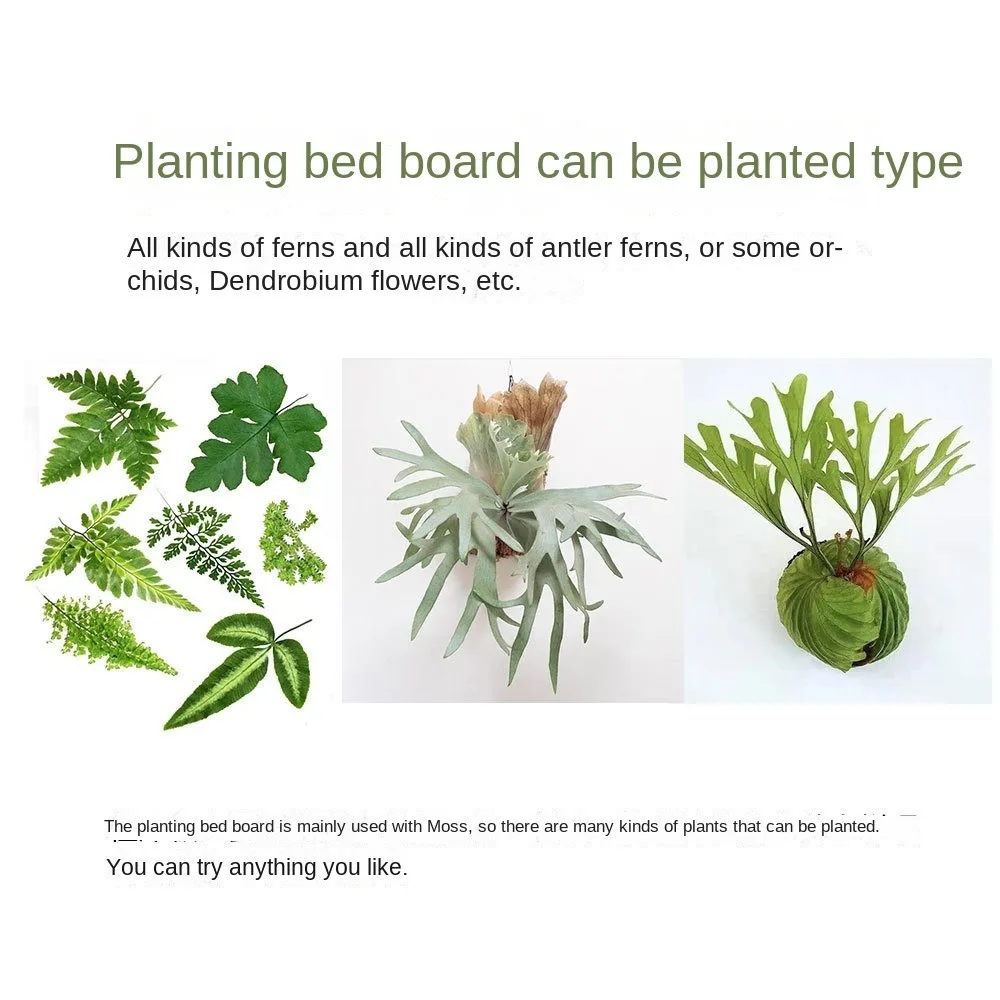 Black Thickened Staghorn Fern Board Dendrobium Orchid Fern Planting Board Decorations Plastic Gardening Hanging