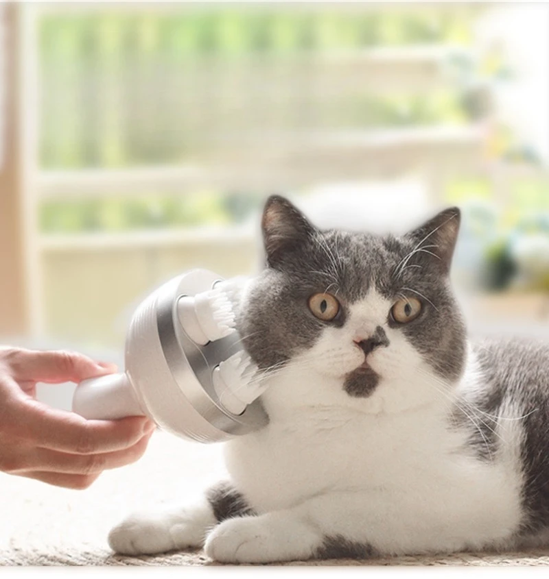 T1 Head Massager (Pet) _03