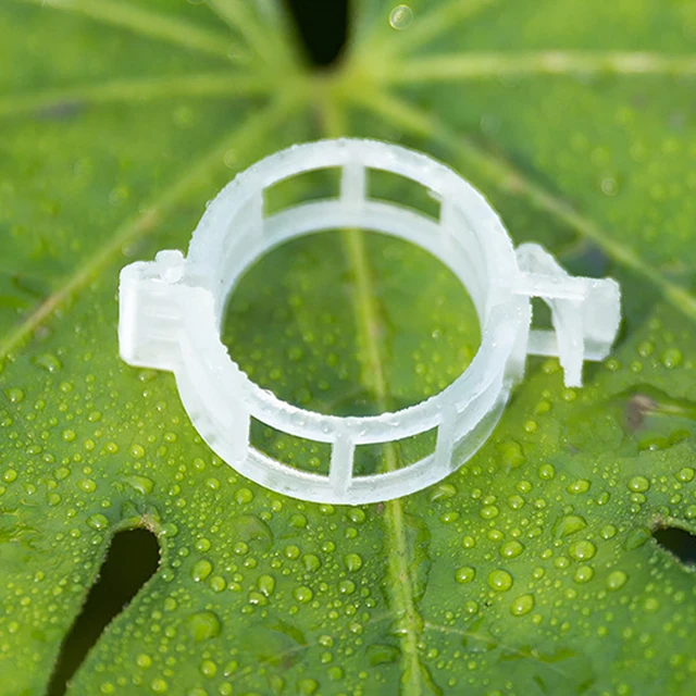 50/100 Darabos Műanyag Növényi Klipek Támogatók Összekötik Az Újrahasznosítható Védelem Oltását. Rögzítő Növény Zöldség Paradicsomos Szerszámok Kertkészletek - Image 3