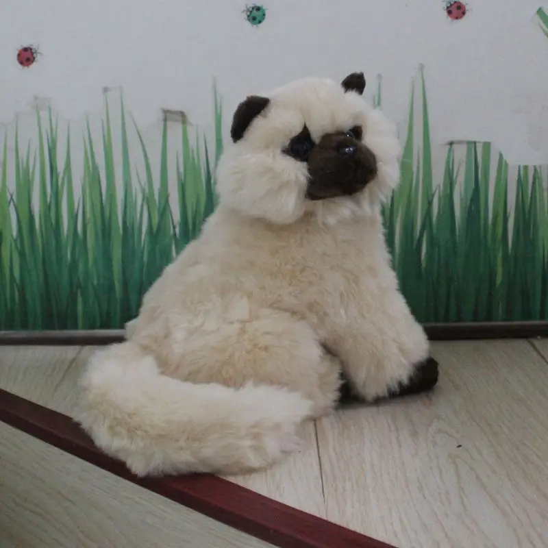 

Подарочная модель, имитация животного, кошка Jinjila/персидская кошка