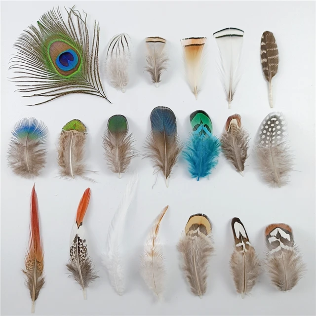 Natural Peacock Feathers Pheasant Wedding Needlework Feather