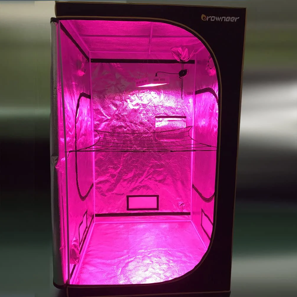 Filet à Ramer Pour Haricots Filet De Jardin Élastique 80x80cm - Support Pour Plantes Grimpantes (Tomates, Concombres...) Filet Petit Pois