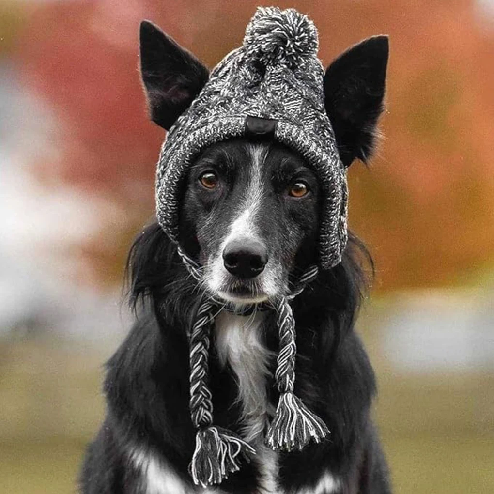 

Comfortable And Easy To Wear For Winter Outdoor Activities Winter Pet Dog Warm Hat Winter Dog Caps grey L