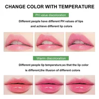 12Pcs/set Aloe Vera Lip Balm Color Changing Tinted Lip Balm Long Lasting Nutritious Temperature Moisturizing Lipstick 2