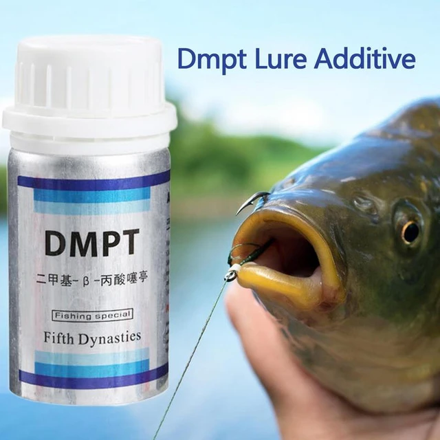 DMPT 40g 70g Fishing Bait Scent Fish Attractants Fish Lures Attractant Lure  Additive Powder For Baits Carp Bass Trout Lures - AliExpress