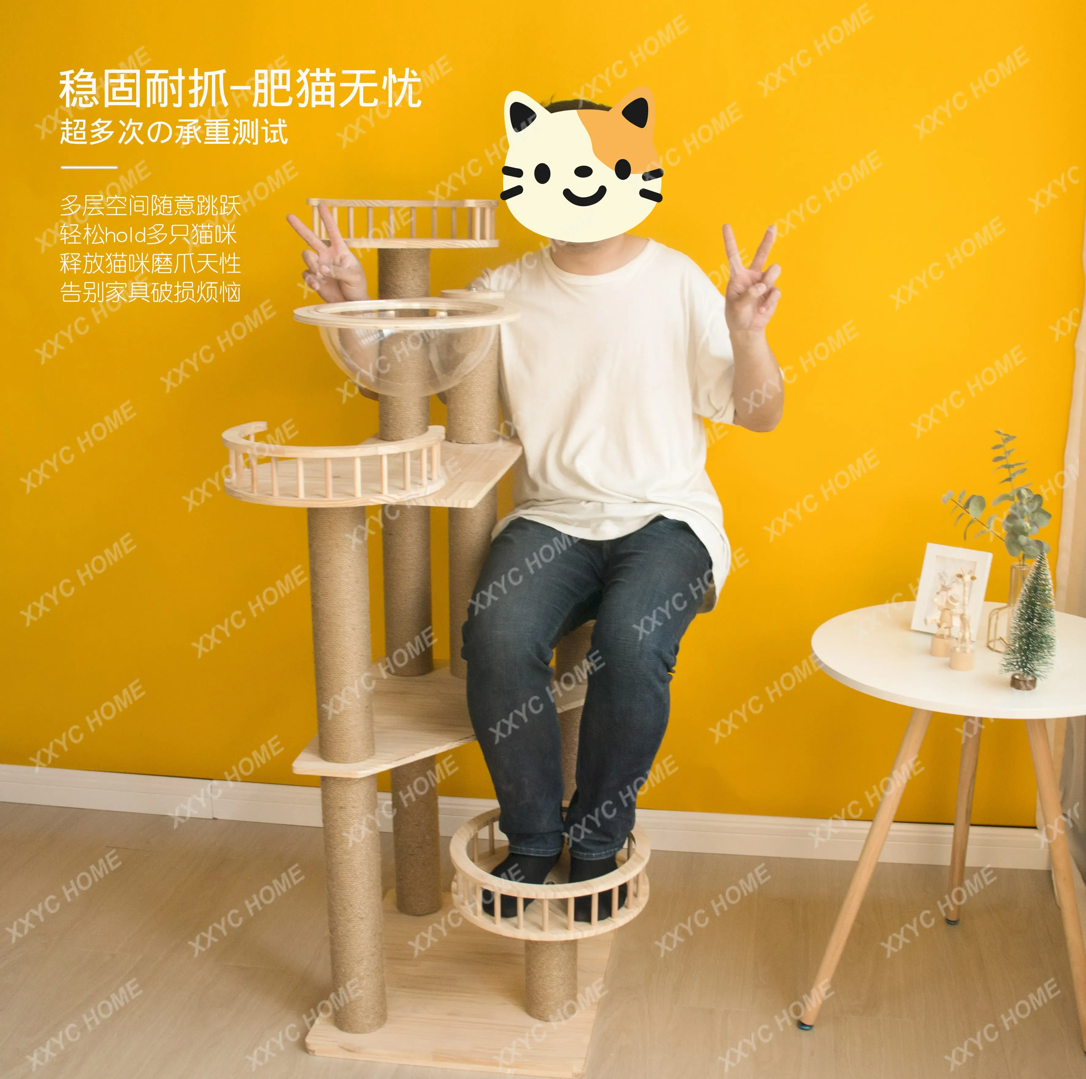 Solid Wood Cat Climbing Frame Small Imported Wood Pet Rack Tongtianzhu Space Capsule Cat Nest Climbing Frame Integra