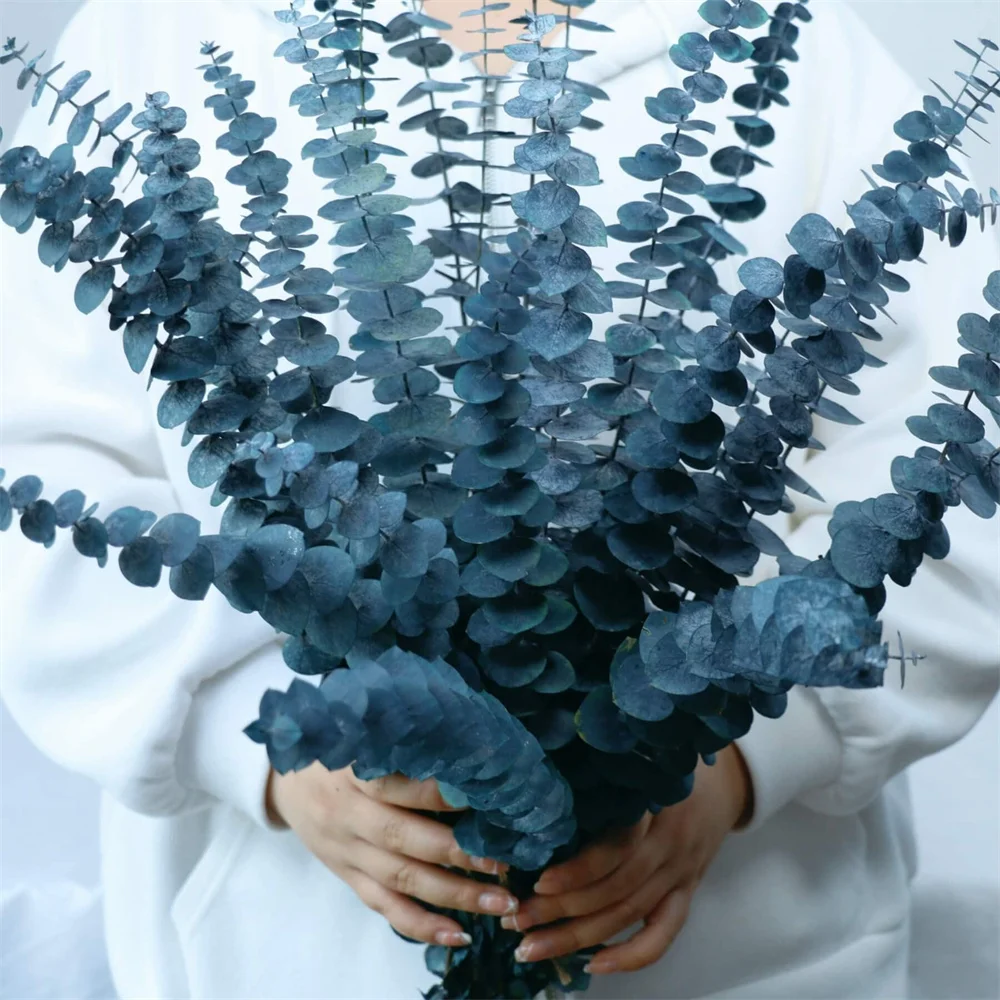 17PcsBlueDriedPreservedEucalyptusStemsRealHangingNatural