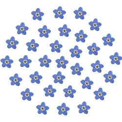 20 Pcs Natural Forget-me-not Real Dried Pressed Flowers for Art Craft DIY Epoxy Resin Pendant Soap Craft Jewelry Card Making.