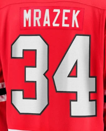  귣 ī ̽ Ű , ڼ   ûҳ  98 BEDARD 71 HALL 17 FOLIGNO 34 MRAZEK