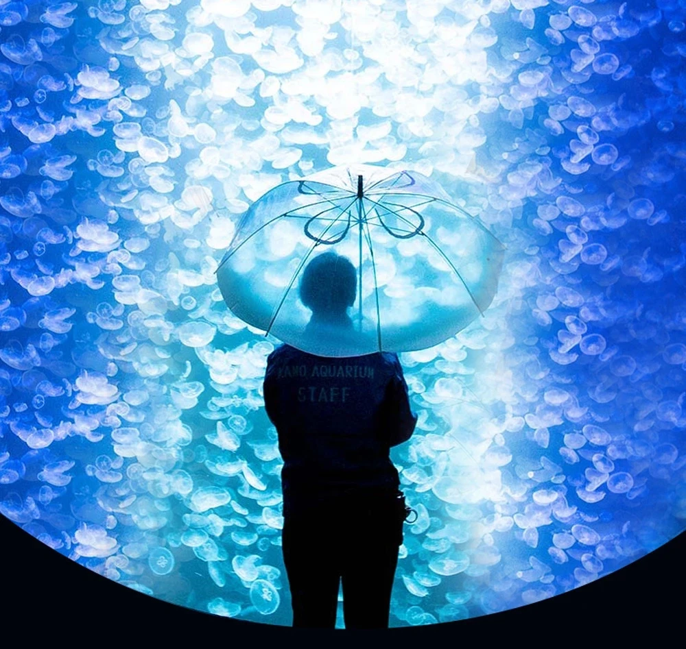 

21inch Japanese Dreamy Sea Moon Jellyfish Transparent Umbrella Automatic Long Handle Thickened Wind-resistant